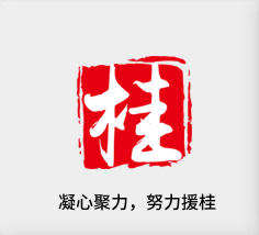 聚焦产业，努力援桂